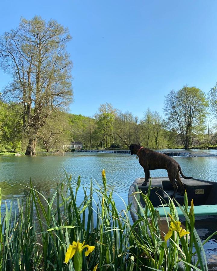 Chateau Des Loups - Les Pommiers Echire Bagian luar foto